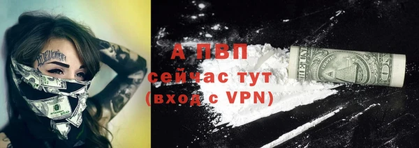 шишки Снежногорск