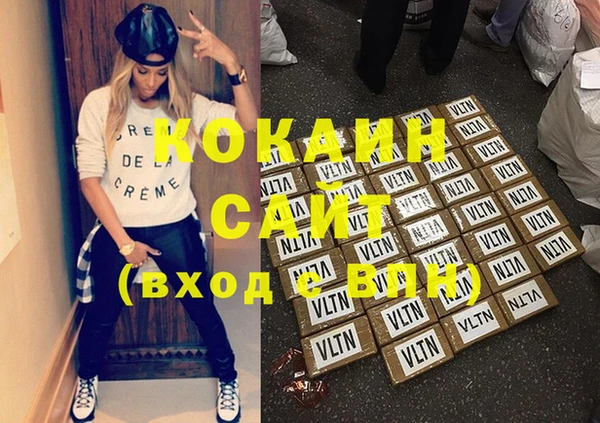 шишки Снежногорск