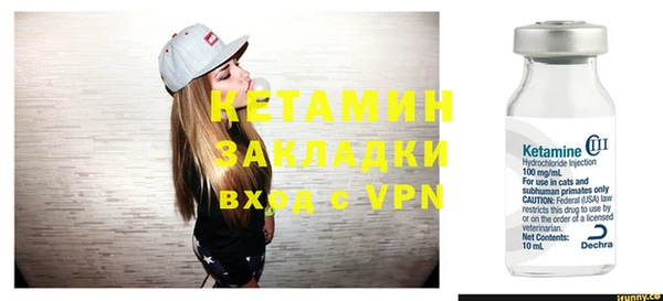 шишки Снежногорск