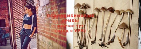 шишки Снежногорск